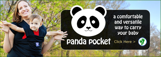 pandapocket-ad[1] copy